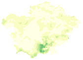 Small multiple...